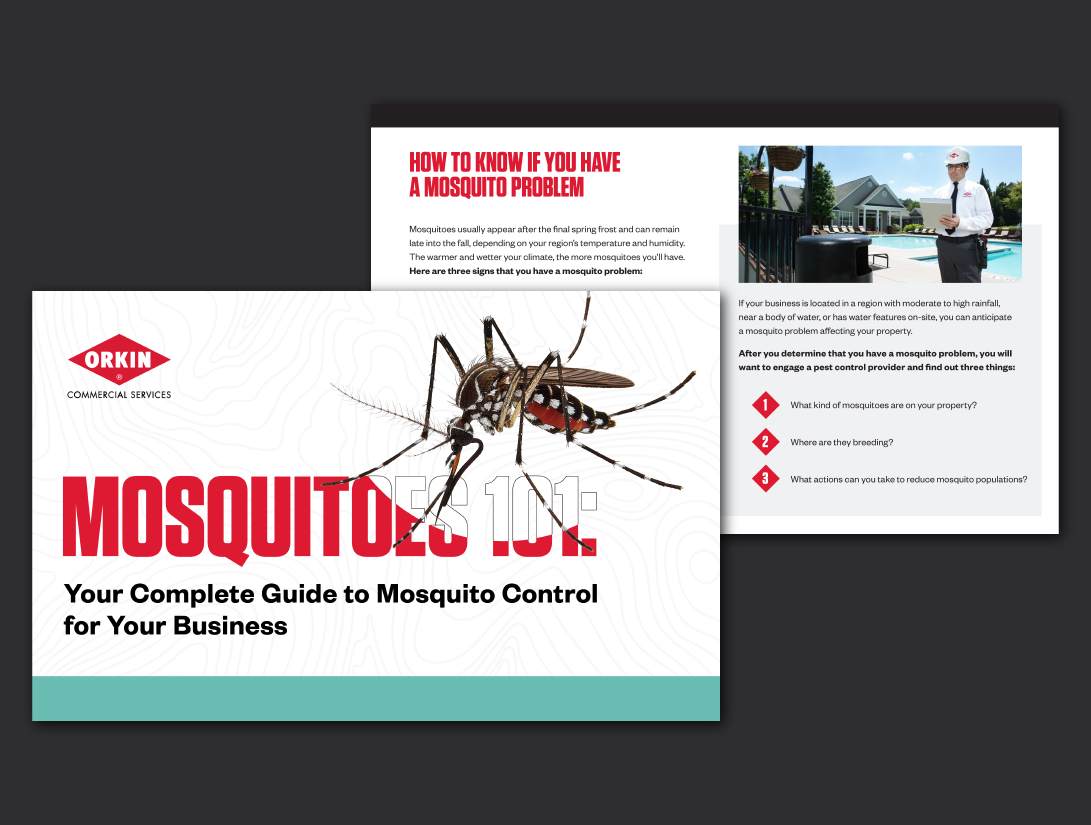 Mosquitoes 101: Your Complete Guide to Mosquito Control for Your Business